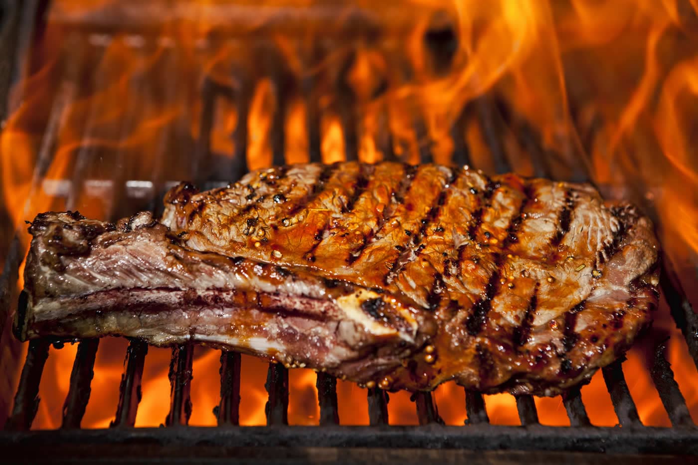 Barbecue Grill Burners – Infrared Burner VS Traditional Burner